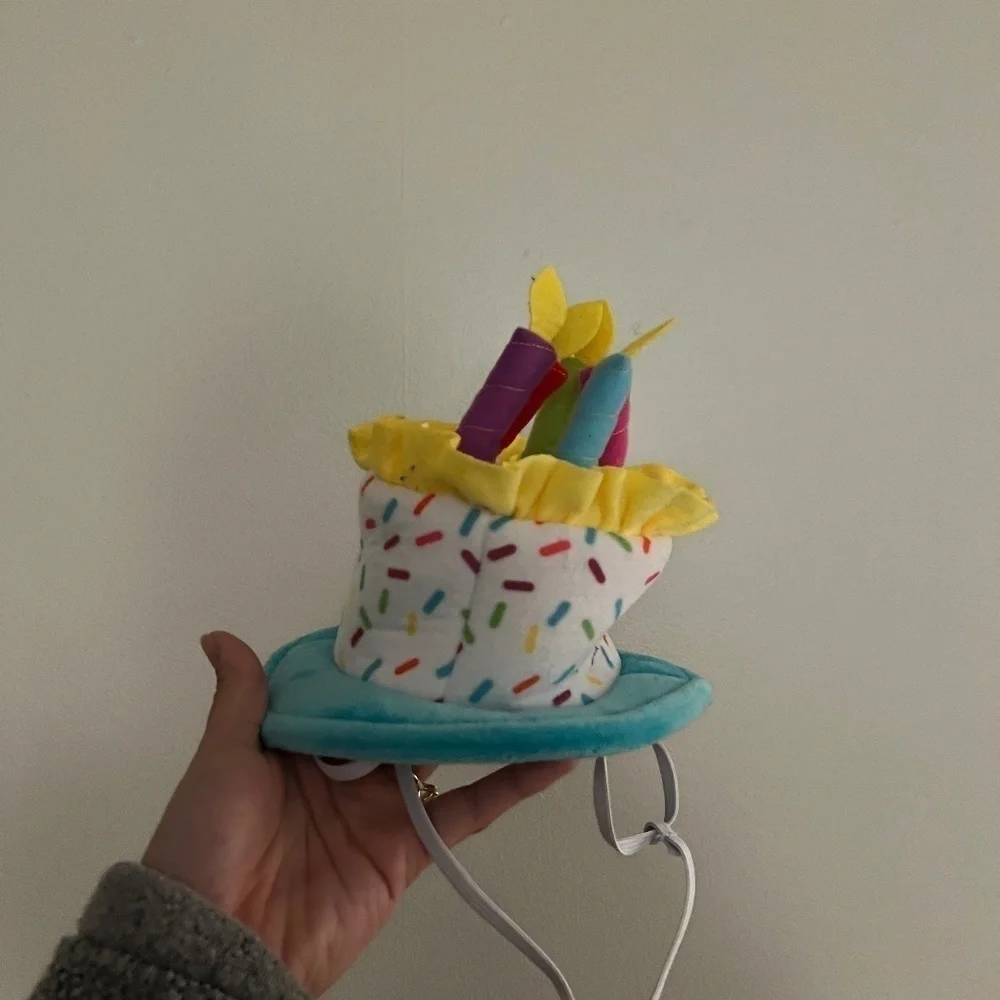 3/$25 Chewy Frisco Birthday Cake Dog & Cat Hat